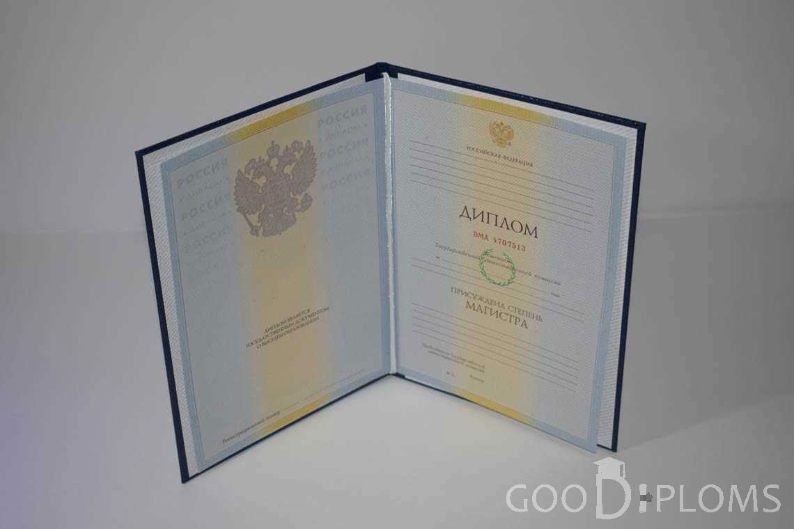 Диплом Магистра в период c 2009 по 2010 год - Тернополь