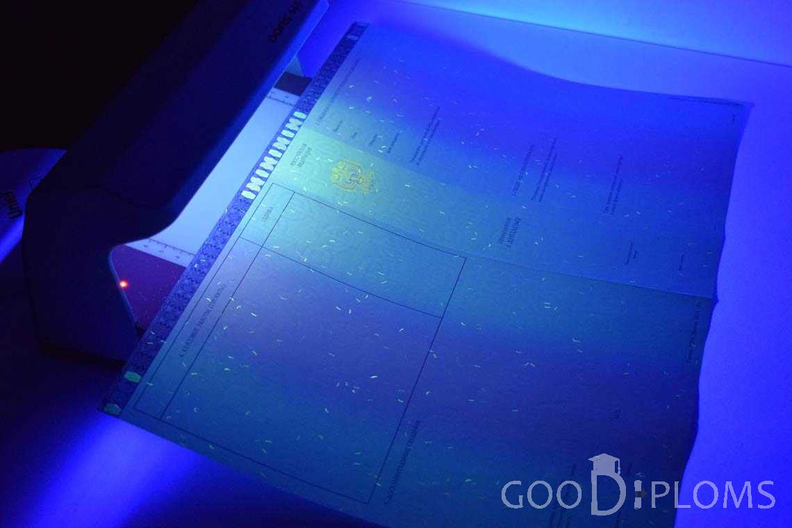 Приложение к Диплому Магистра в Ультрафиолете в период c 2014 по 2025 год - Тернополь