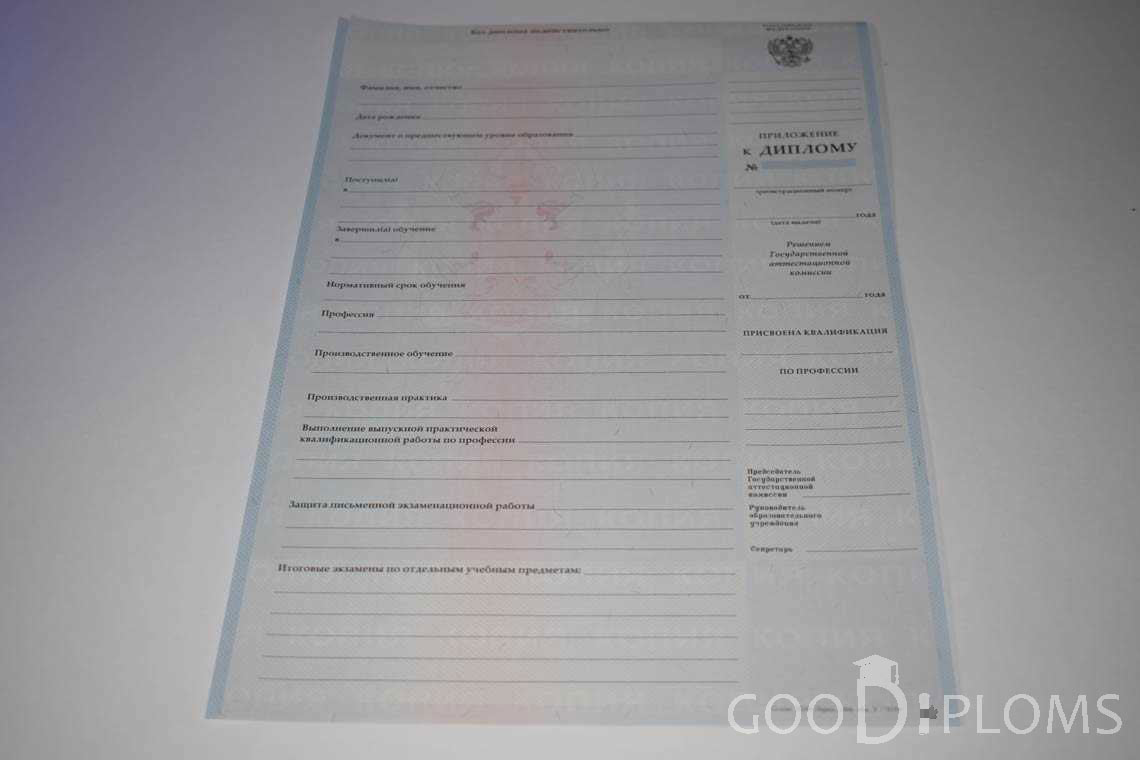 Приложение к Диплому Училища период выдачи 2007-2010  -  Тернополь