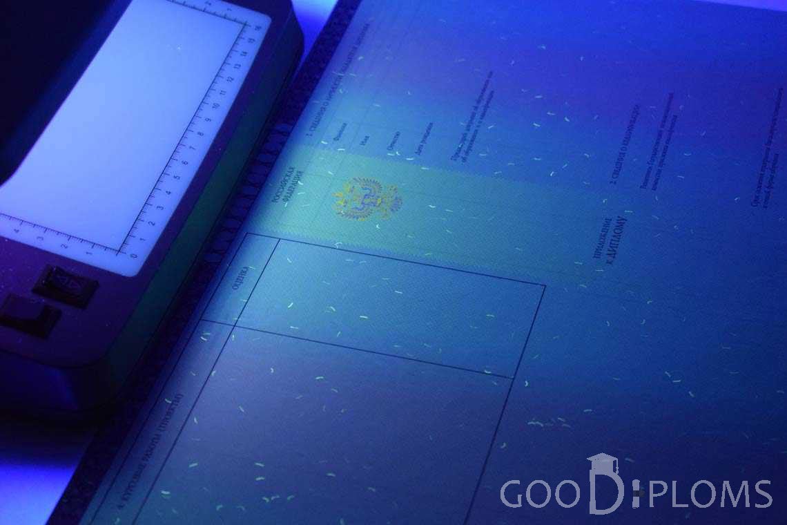 Приложение к Диплому о Высшем Образовании с Отличием в Ультрафиолете - Тернополь